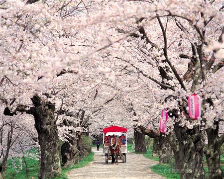 北上市立公園展勝地